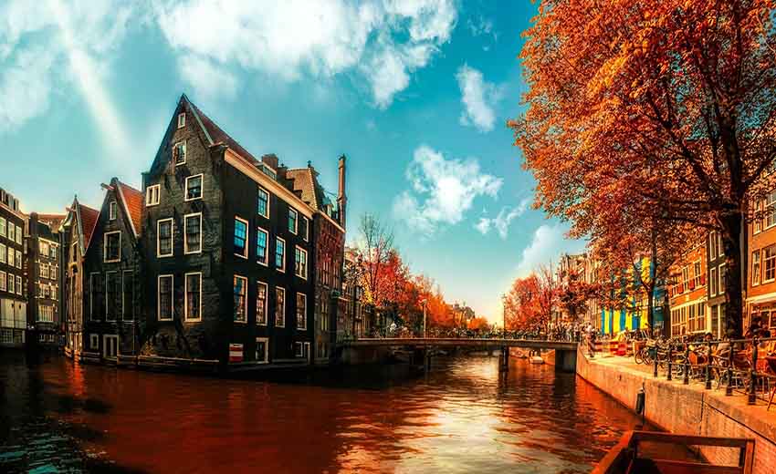 آمستردام - هلند