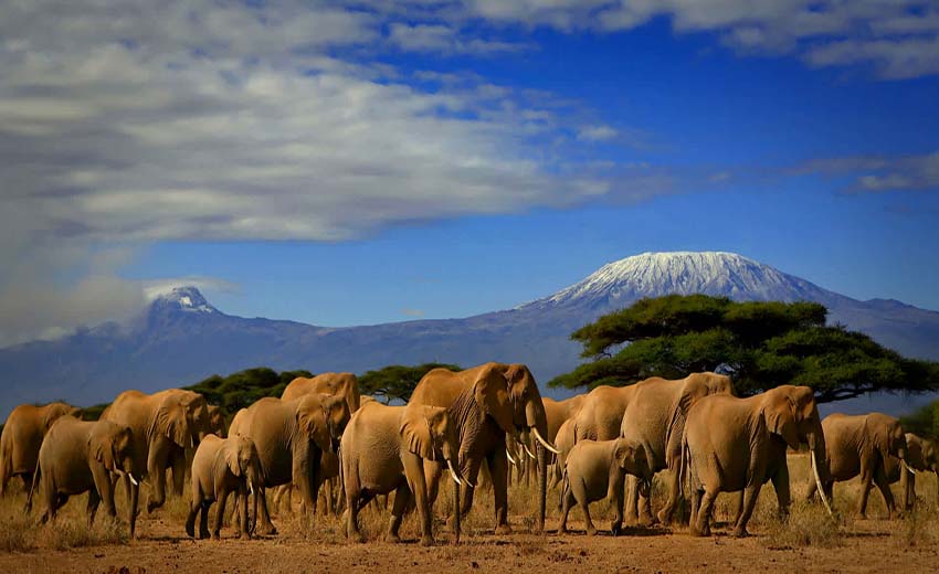 سفر به کنیا در ژانویه