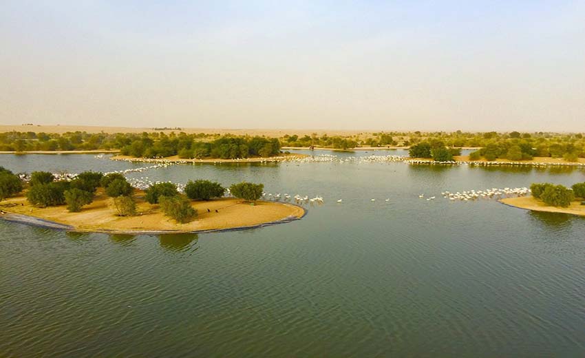 دریاچه Al Qudra Lakes