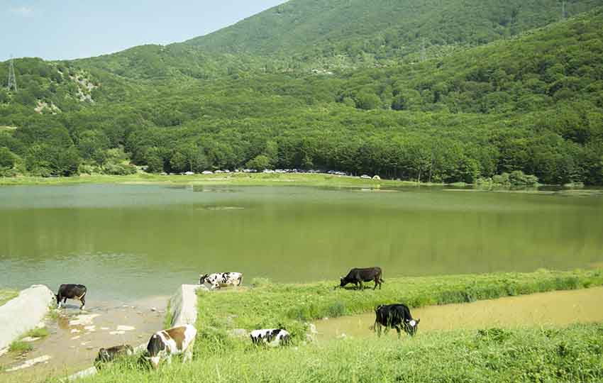 دریاچه ویستان گیلان