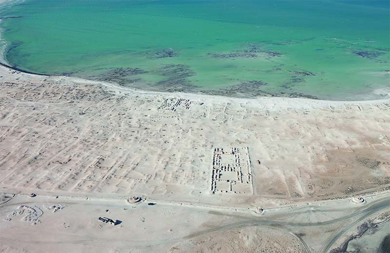 سواحل قطر
