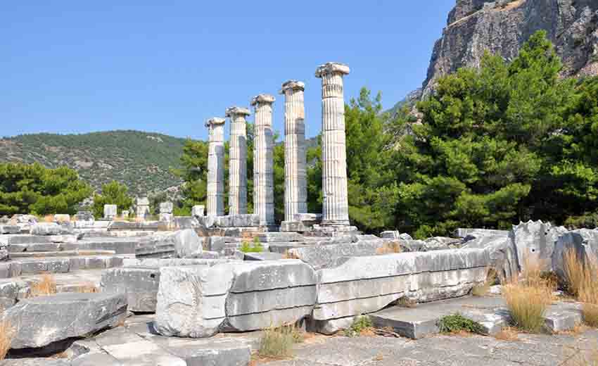 دیدایما کوش آداسی