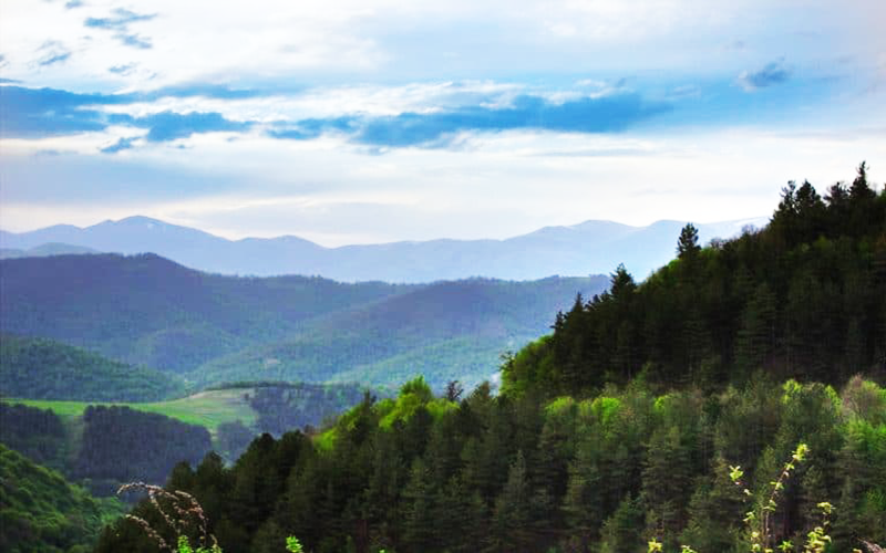پارک ملی دیلیجان (Dilijan national park)