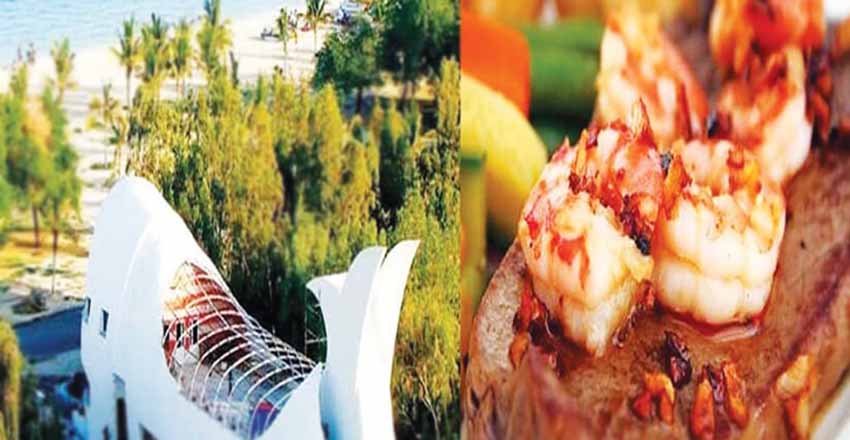 نمایی از رستوران نهنگ سفید کیش