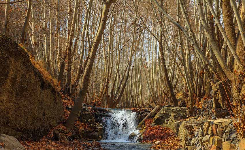 نمایی از طرقبه در پائیز