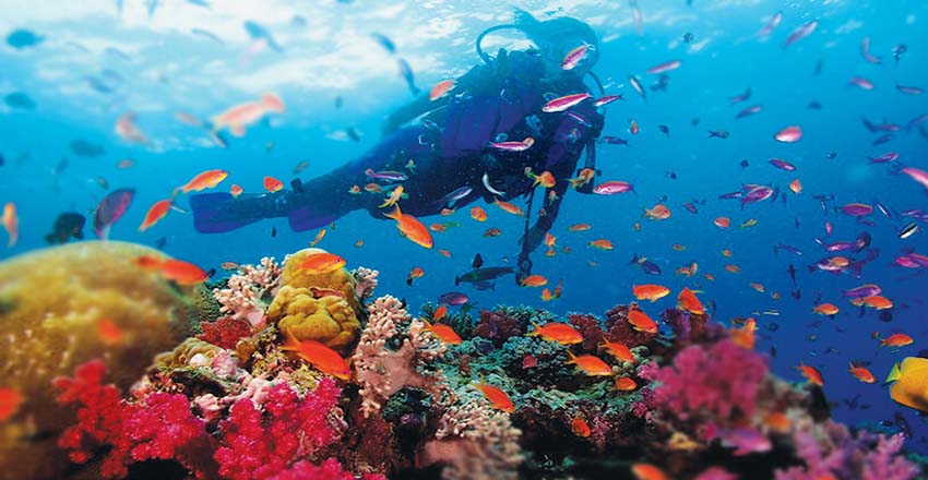 غواصی در دریای زیبای کیش