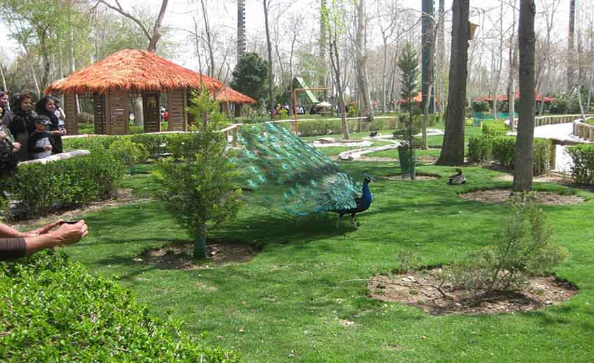 باغ پرندگان اصفهان