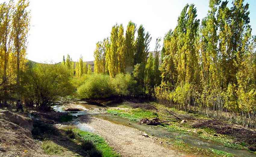 رودخانه ارداک