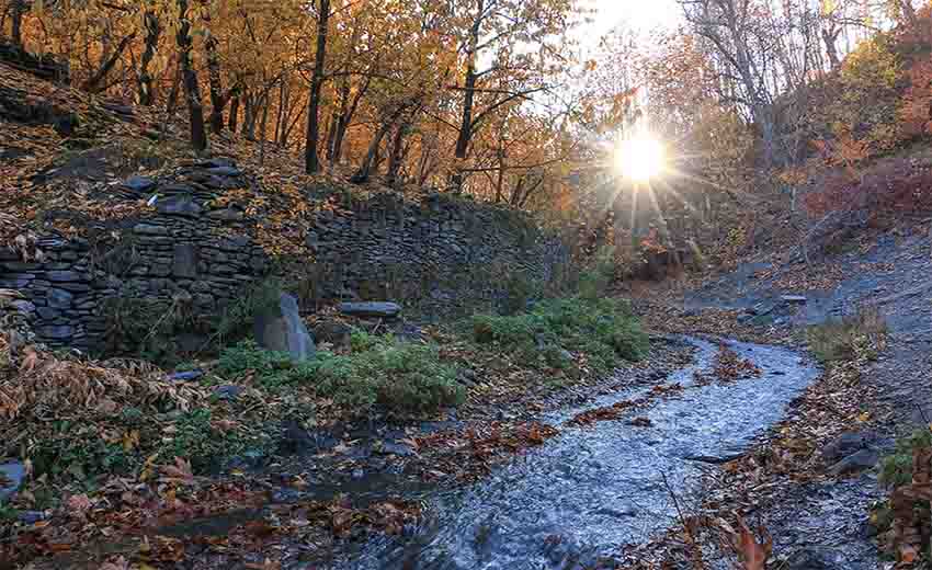 رودخانه زشک