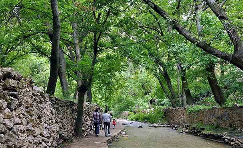 تصاویری از شاندیز مشهد