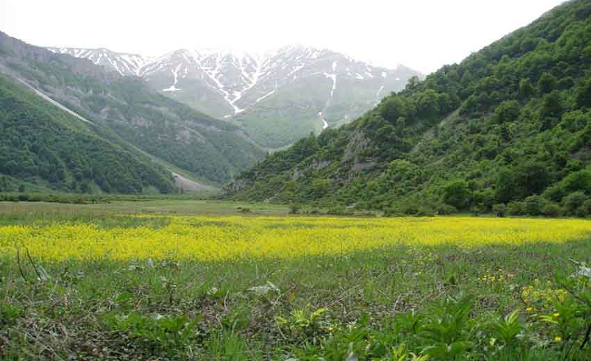 دشت دریاسر