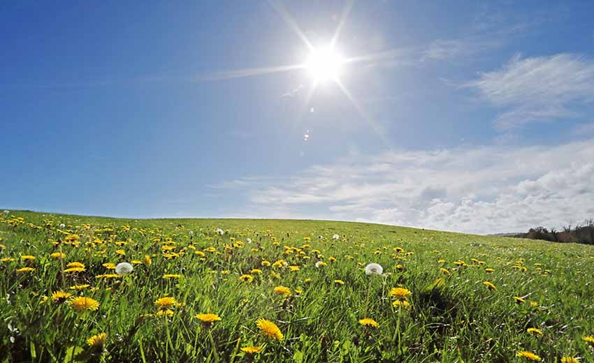 در تابستان به کجا سفر کنیم؟
