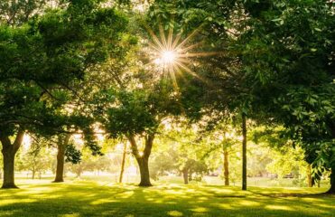 پارک جمشیدیه تهران، امکانات و آدرس