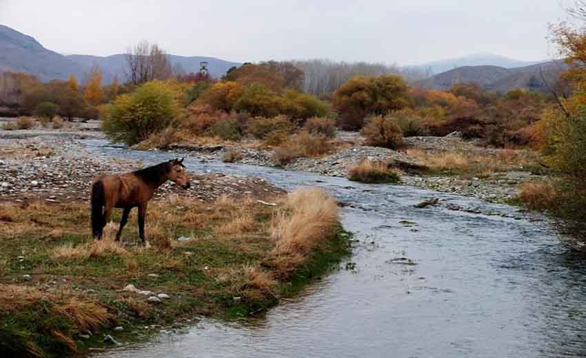 پارک جنگلی خجیر