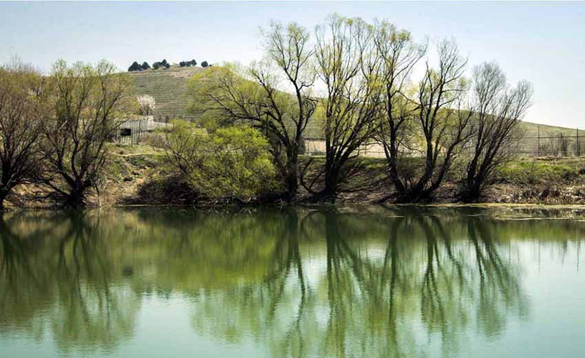 پارک جنگلی یاس فاطمی
