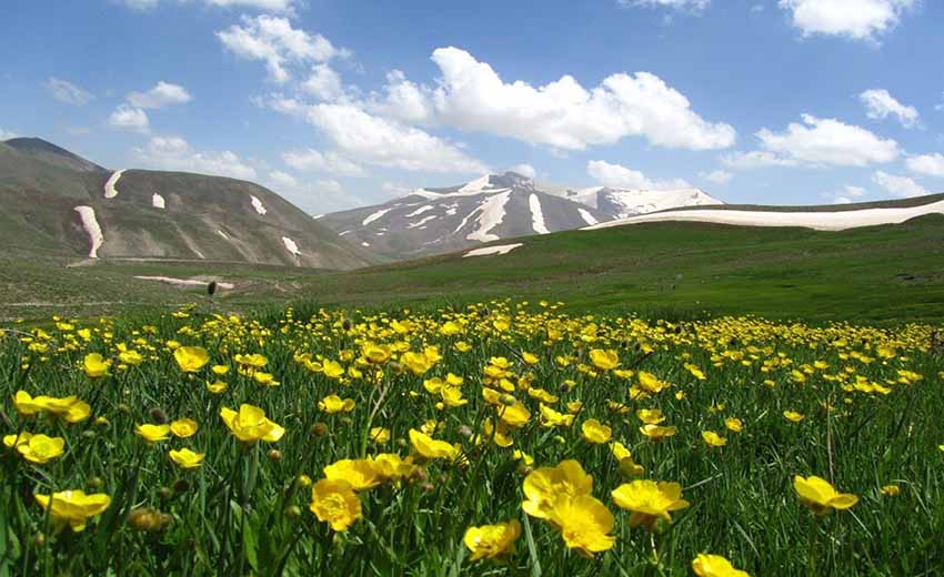 کوه سهند
