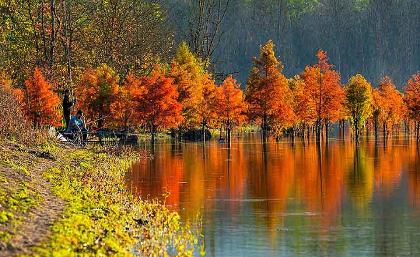 نمایی از دریاچه الندان
