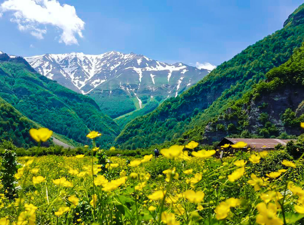 دشت دریاسر