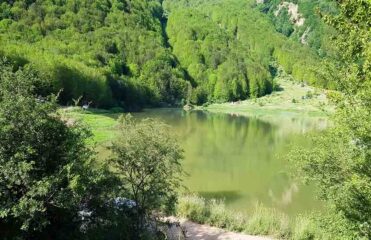 دریاچه ویستان گیلان و گردش در طبیعت