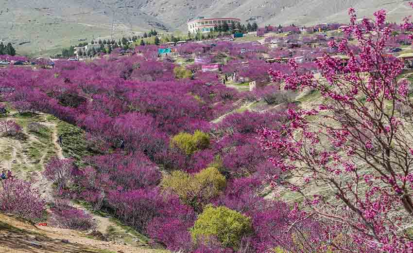نمایی از دره ارغوان مشهد