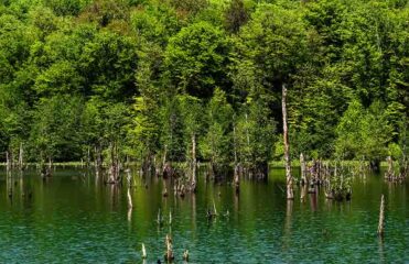  دریاچه ارواح نوشهر، مکانی اسرارآمیز در مازندران