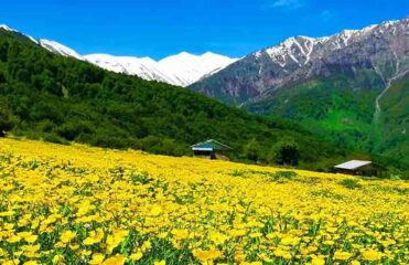 آشنایی با دشت دریاسر تکابن