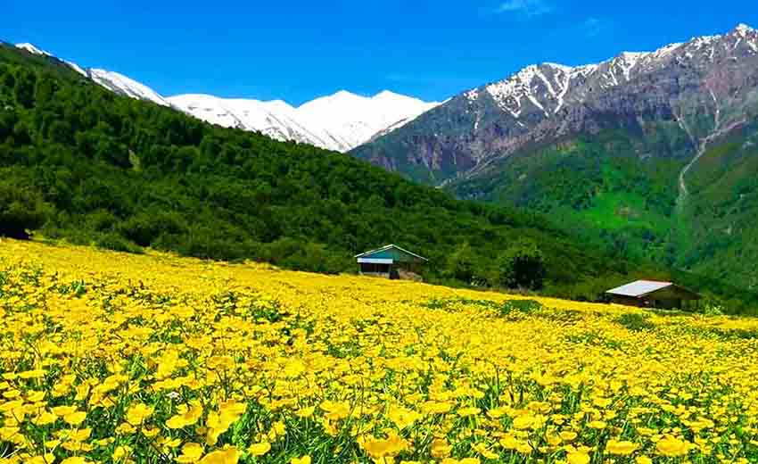آشنایی با دشت دریاسر تکابن