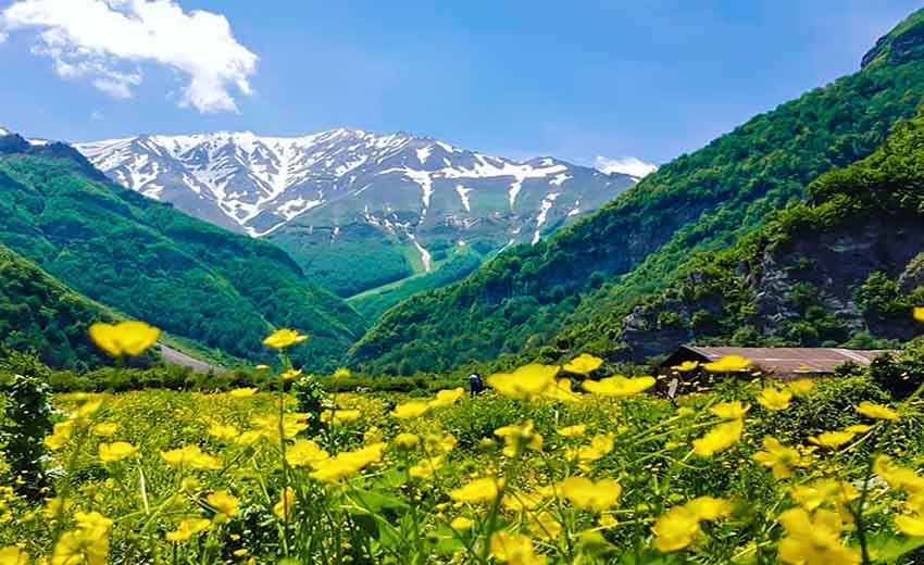 دشت دریاسر
