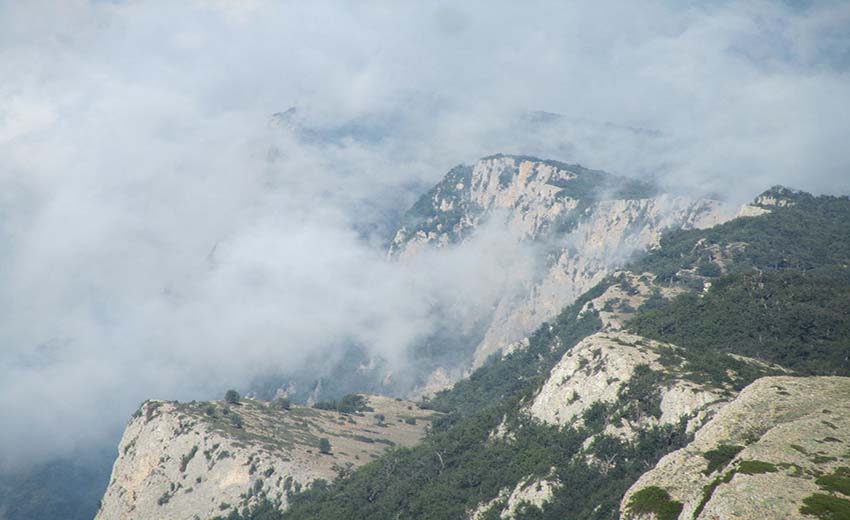 چکل جهان نما