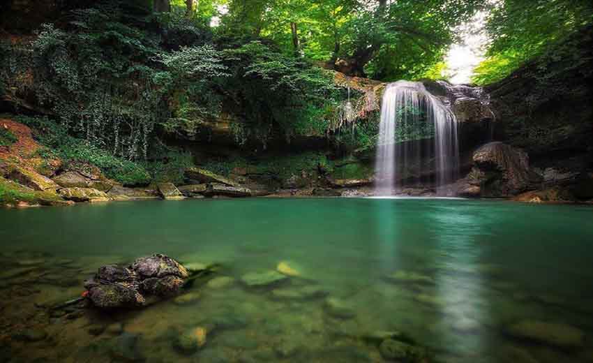 جنگل دالخانی رامسر و جاذبههای آن