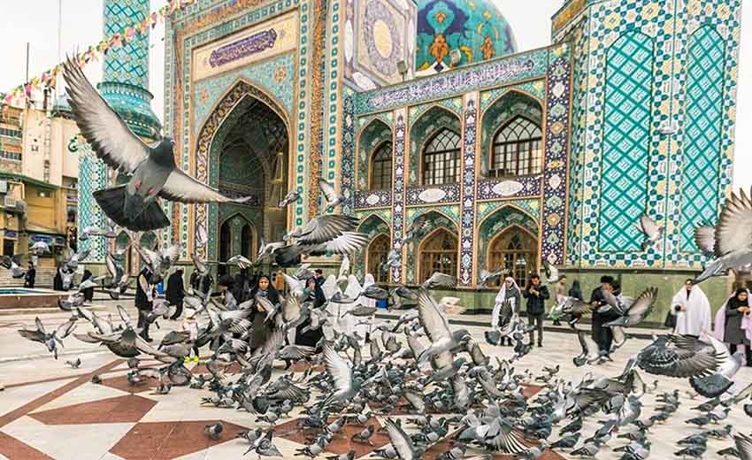 کبوتران امامزاده صالح