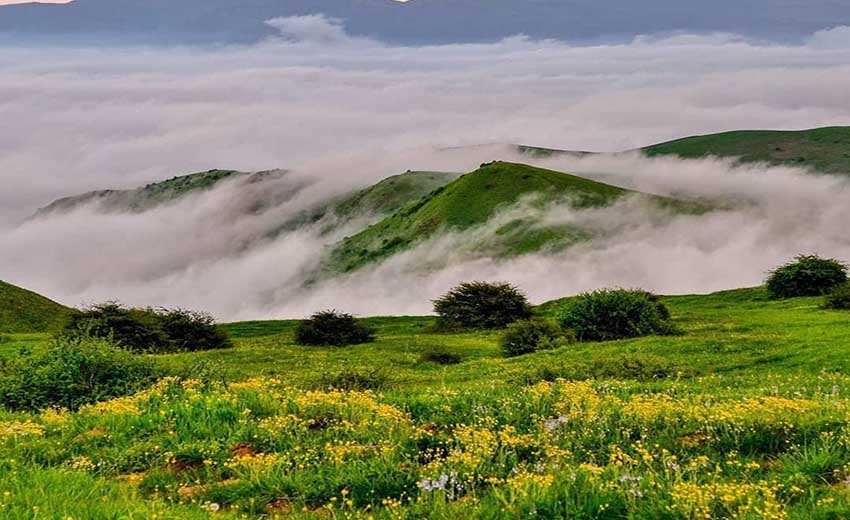 نمایی از جنگل فندقلو اردبیل