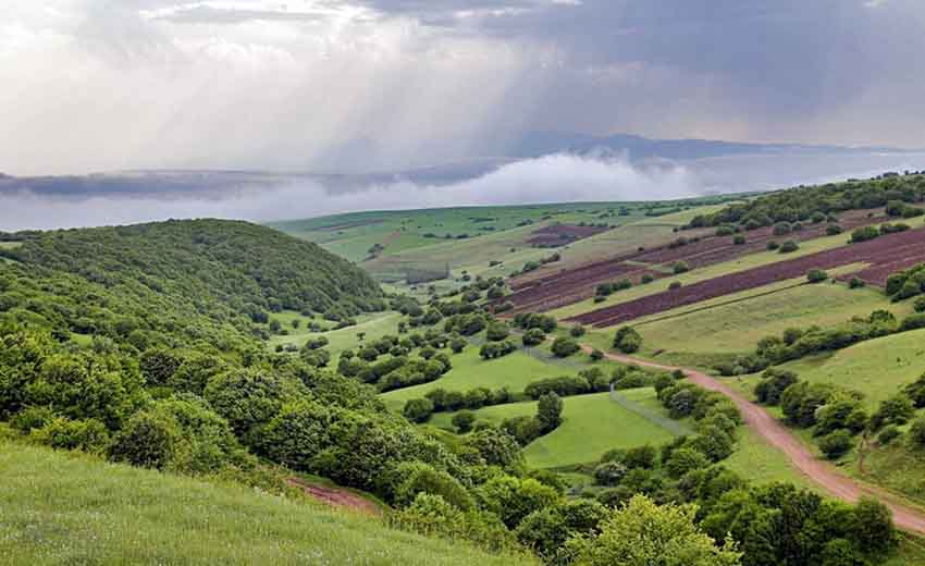 تصویری از جنگل فندقلو اردبیل