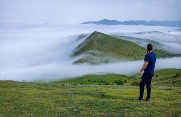 جنگل فندقلو اردبیل، چهره ای سرسبز در ایران