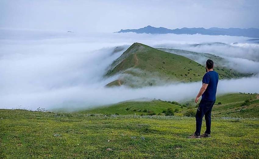 جنگل فندقلو اردبیل، چهره ای سرسبز در ایران