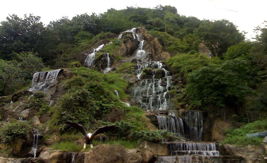 بام سبز
