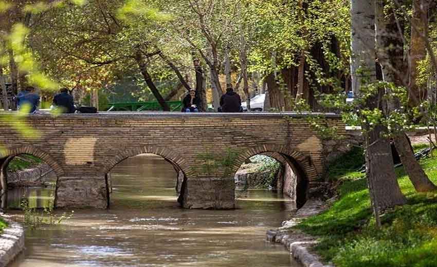 مادی فرشادی