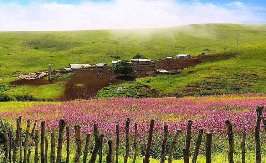 ییلاق خصیل دشت گیلان