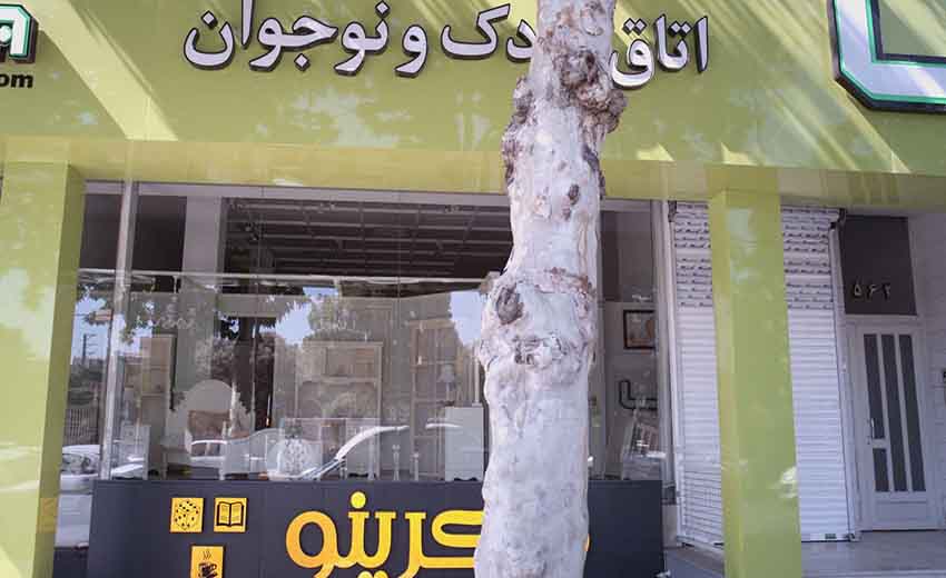 کافه بازی فکرینو