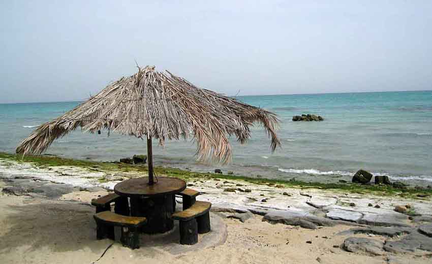 کیش