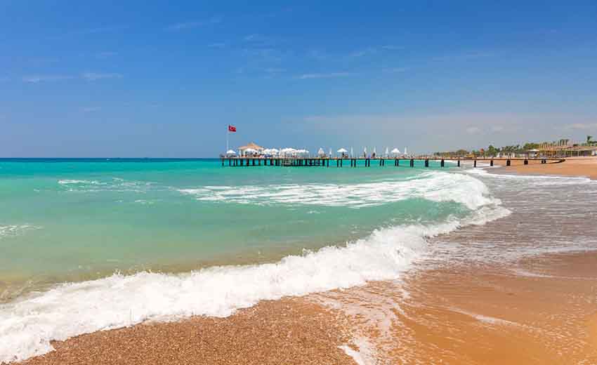 سیده