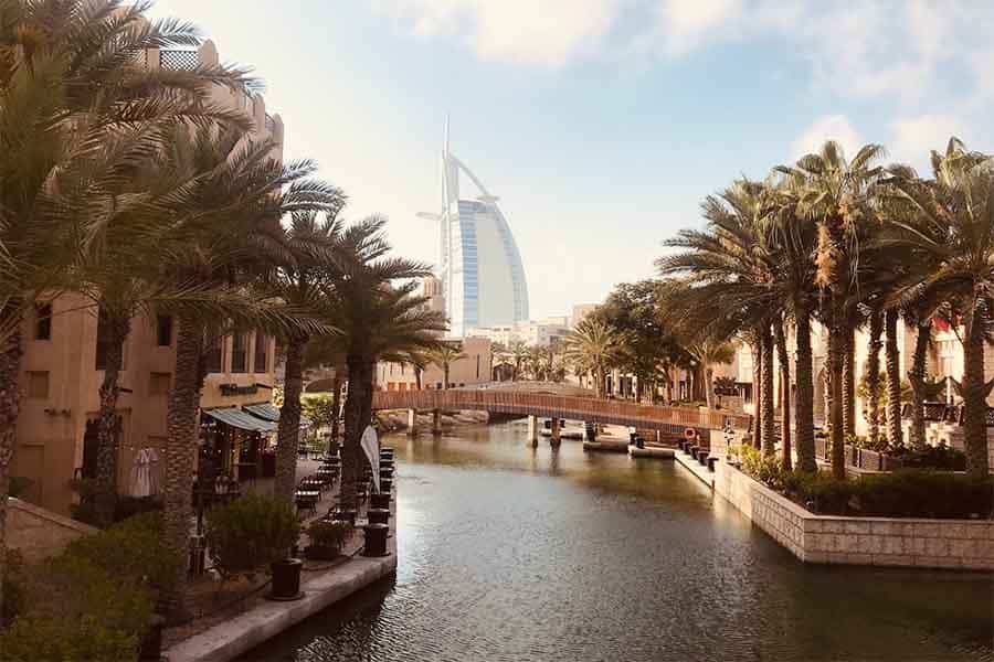 برج الخلیفه در کنار نخل