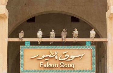 سوق شاهین قطر