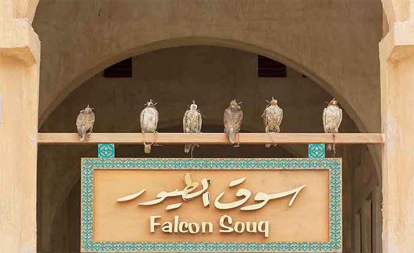 سوق شاهین قطر