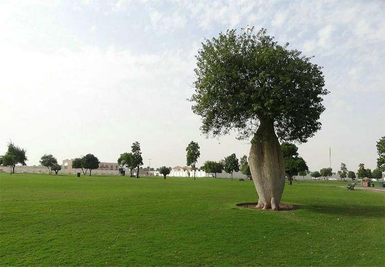 پارک اسپایر دوحه