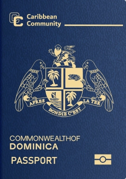 passport-cover